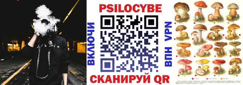 Галлюциногенные грибы прущие грибы  ссылка на мегу   Исилькуль 